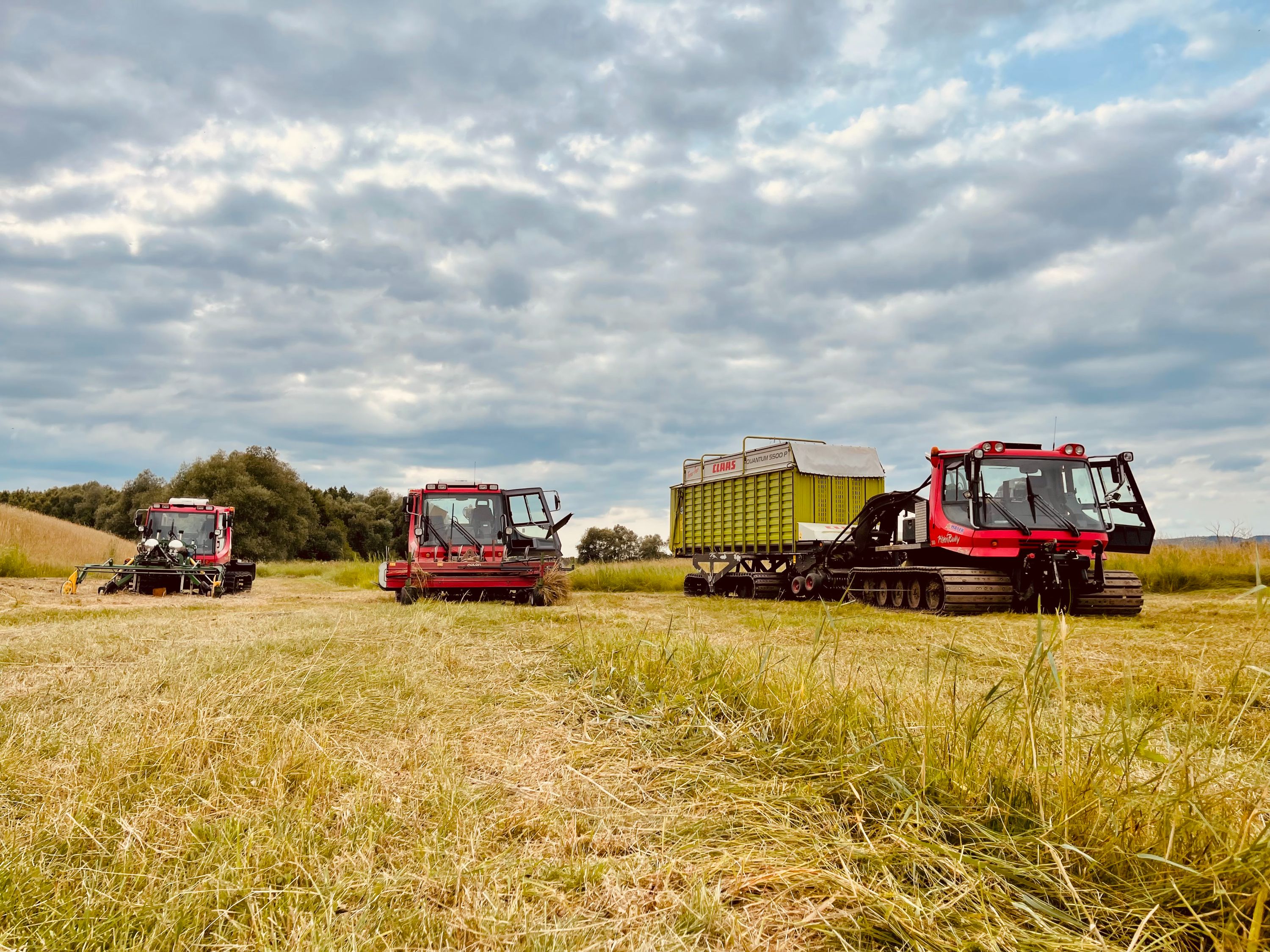 Landschaftspflege Mayer GmbH, Hillecker Straße in Chieming