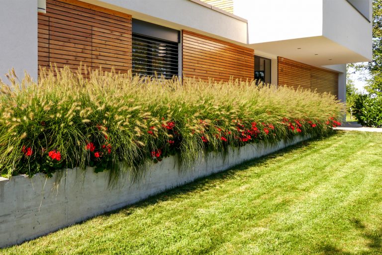 Gartengestaltung Dominik Hauer, Ranseredt 31 31 /1 in Eggerding