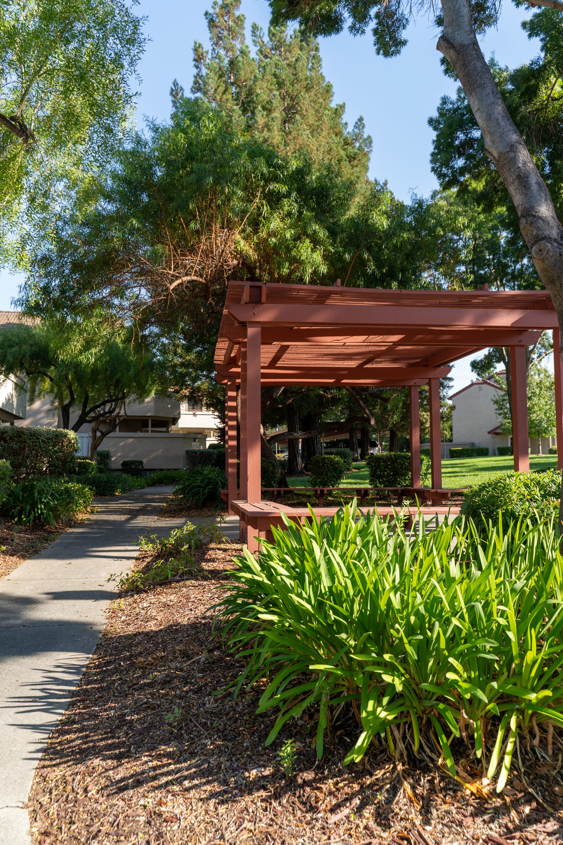 Wooden Pavilion