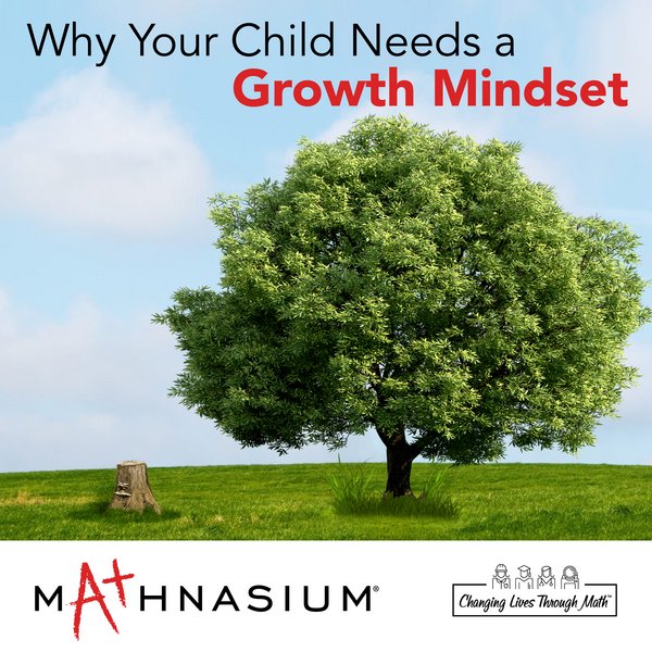 Mathnasium Dublin (614)664-6024