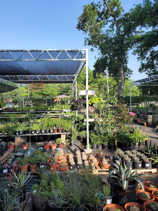 Tillery Street Plant Co.