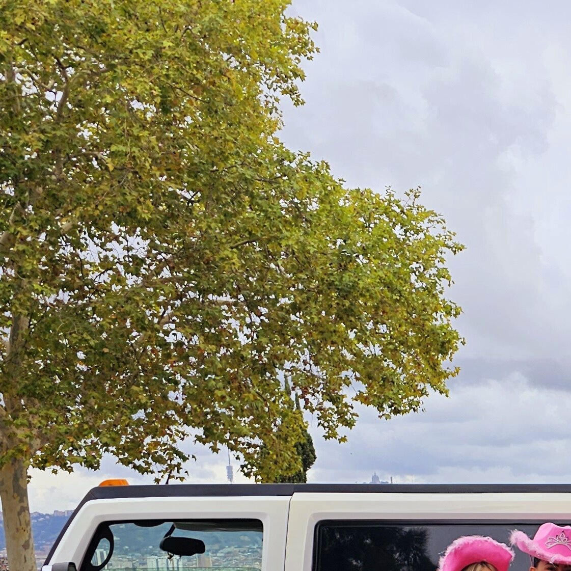 Images Limusinas CarpeDiem