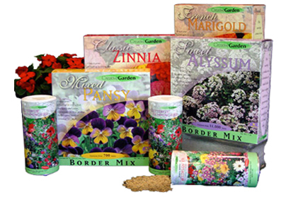 Package Development - Effective packaging looks attractive, impresses with its creativity, and contains clear and concise information, while persuading a consumer to purchase the product inside.