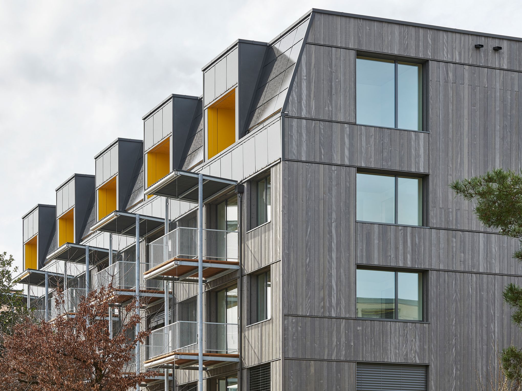 Bilder Beer Holzbau AG