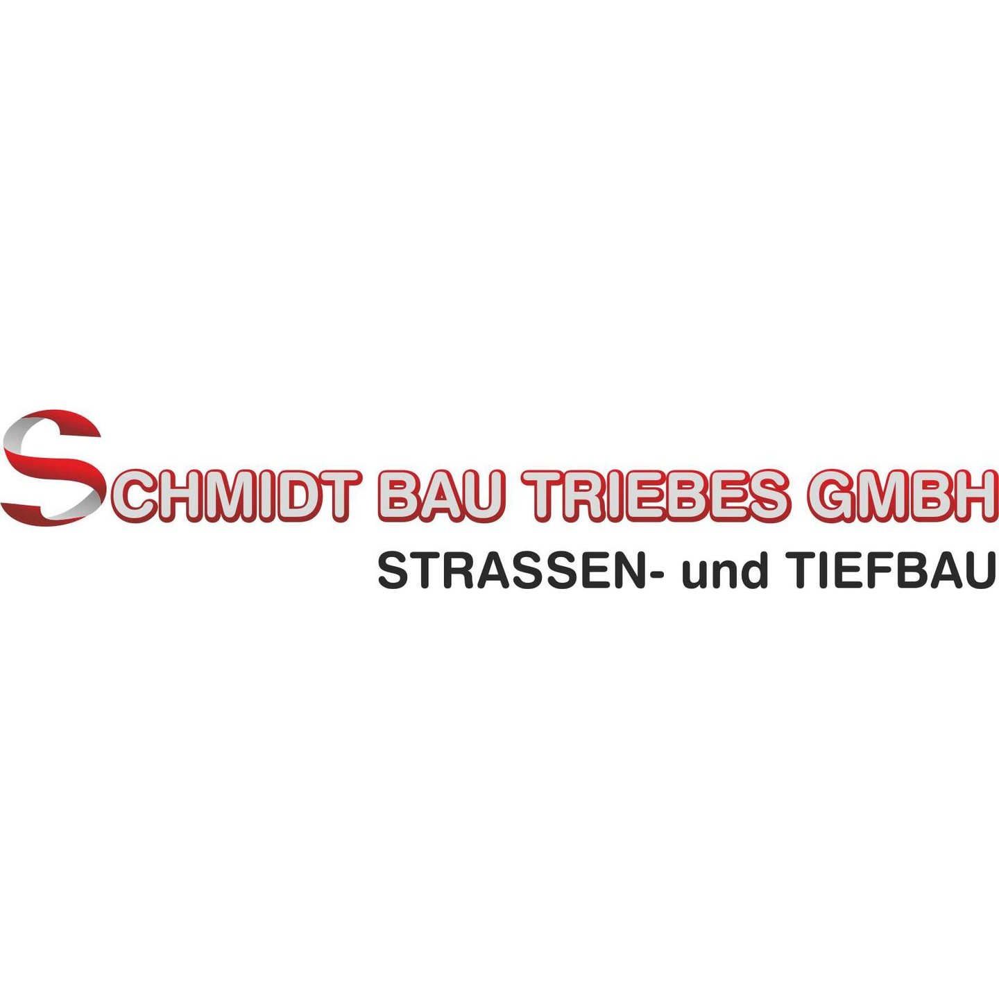 Schmidt Bau Triebes GmbH in Zeulenroda-Triebes