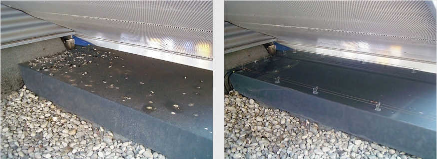 ALL.EX Schädlingsbekämpfung und Taubenabwehr, Merowingerstraße 17 in Fellbach