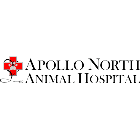 Apollo North Animal