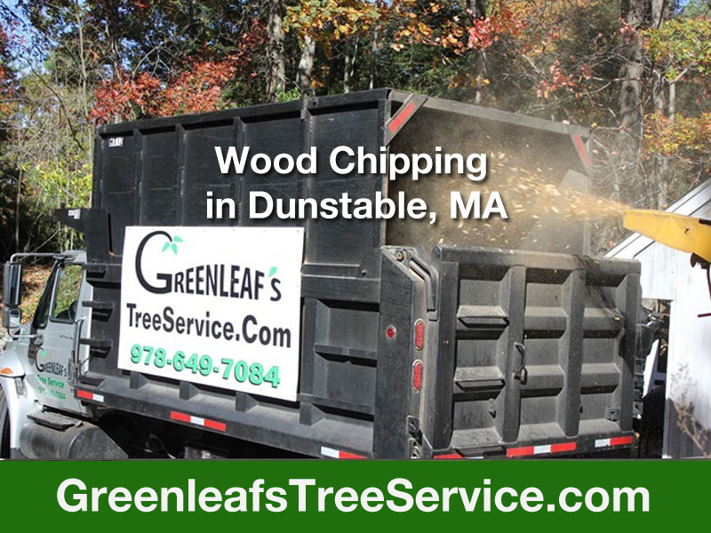 Greenleaf's Tree Service Photo