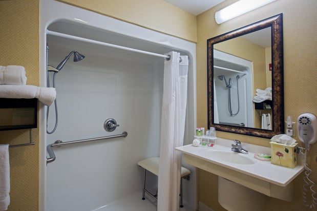 Images Holiday Inn Express & Suites Youngstown N (Warren/Niles) by IHG