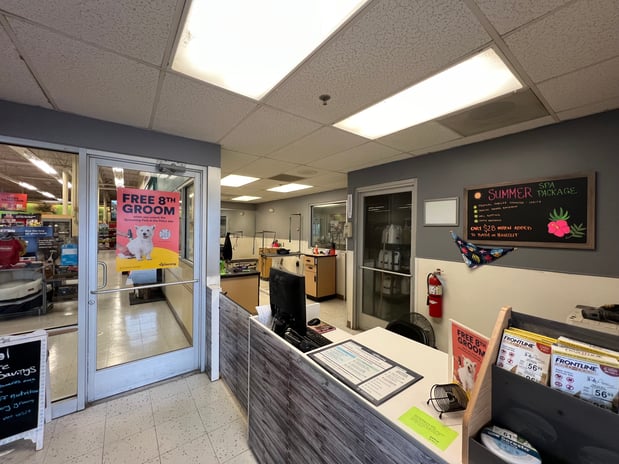 Images Petco Grooming