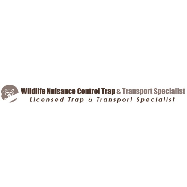 Wildlife Nuisance Trap & Transport Specialist