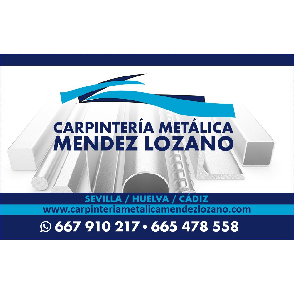 Francisco Javier Mendez Solis Logo