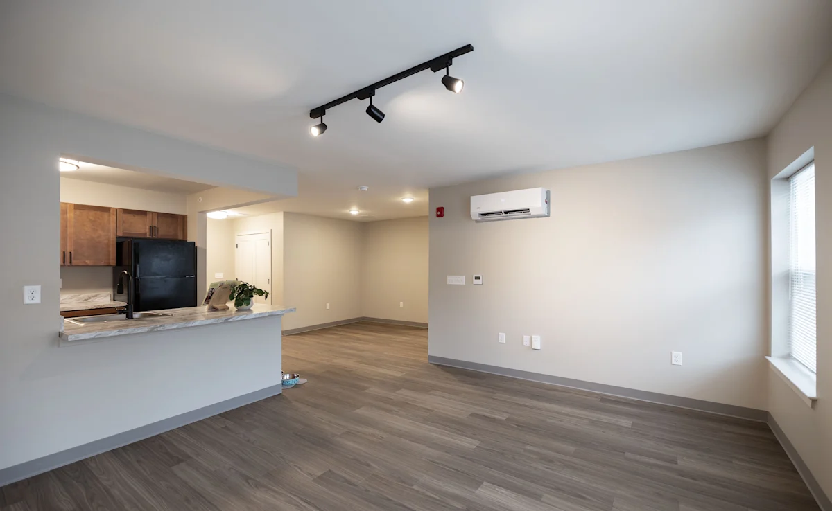 Living Room and Kitchen
