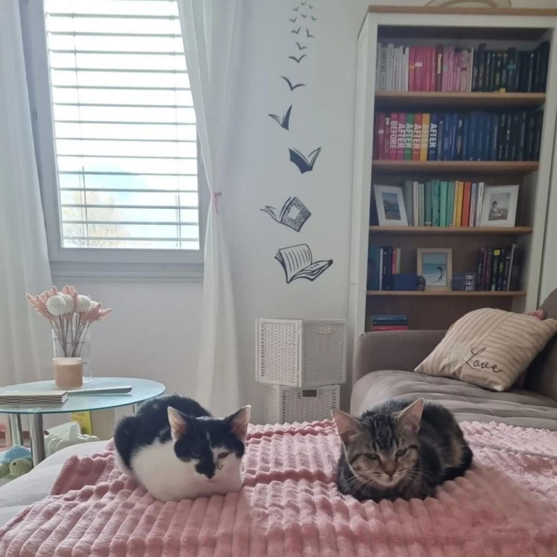 Images Clinica Veterinaria Cavalli DR. Federico