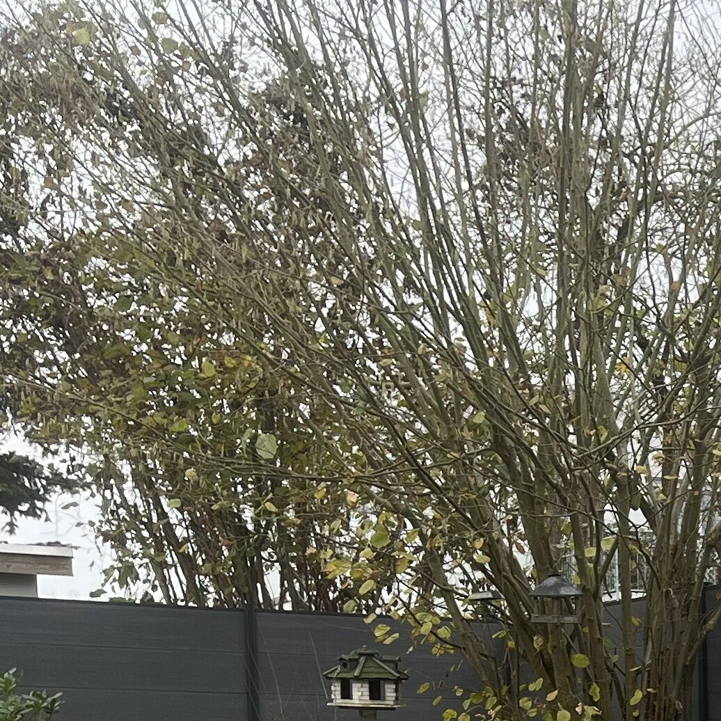 René Sonnenberg (Zaunanlagen & Garten-Service Oranienburg) in Oranienburg