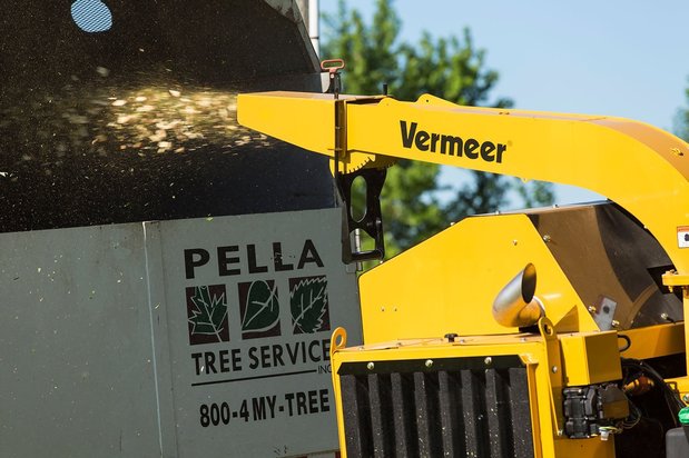 Images Pella Tree Service Inc.