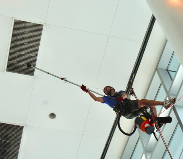 Images RayAccess, Inc.