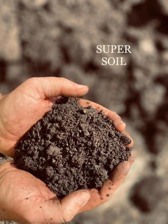 Images DeLullo Trucking Corp./WOODBED CORP