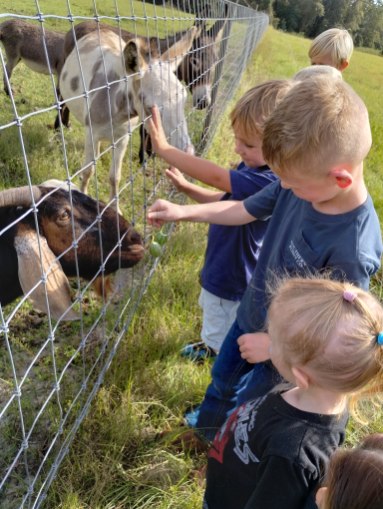 Little Folks Farm & Childcare