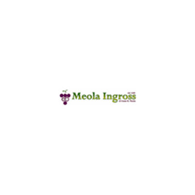 Meola Ingross - Viticoltura - Enologia Logo