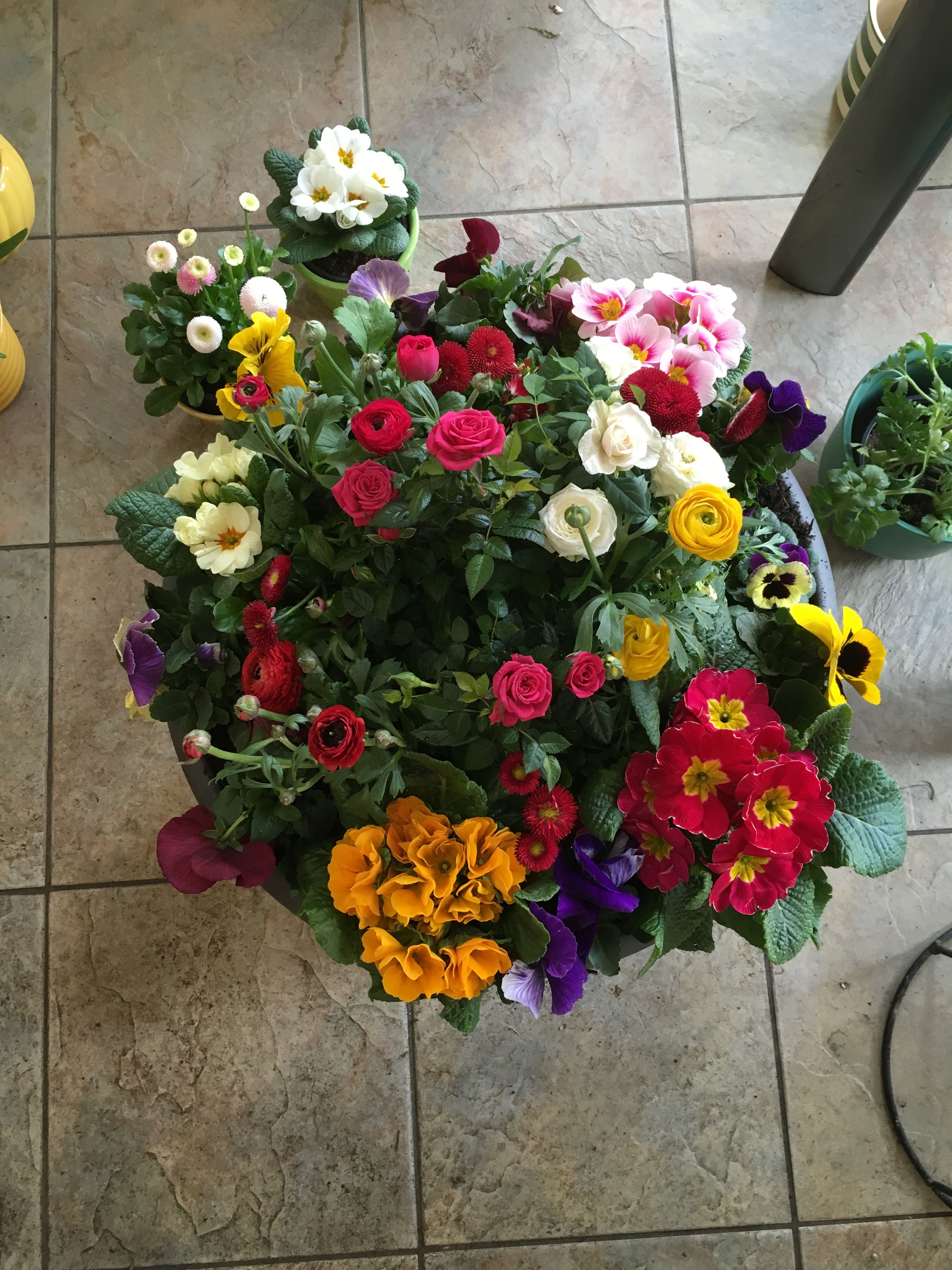 Kundenbild groß 12 Florist | Blumen Zettl | München
