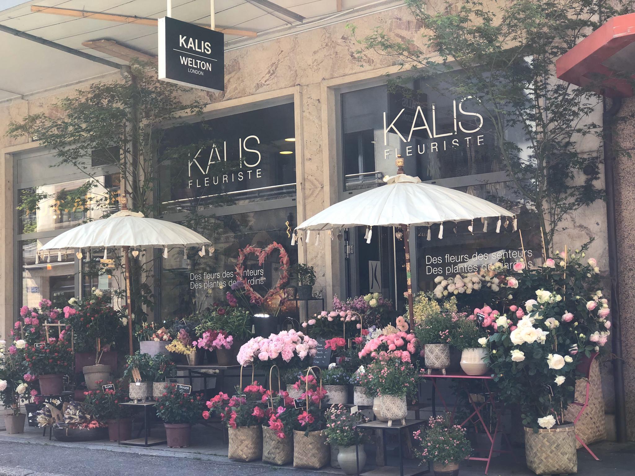 Bilder KALIS Fleurs