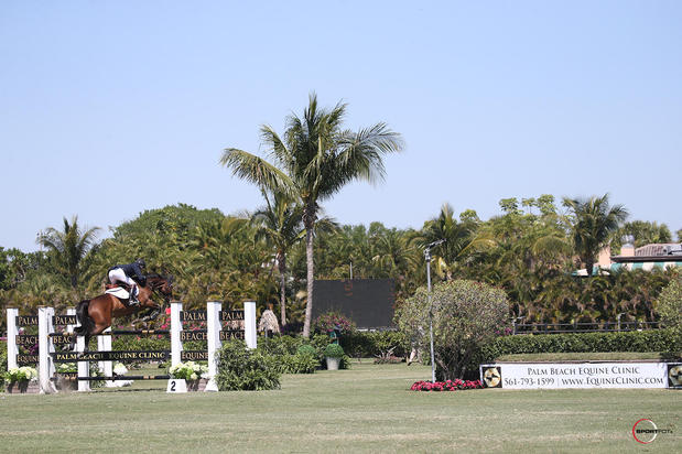 Images Palm Beach Equine Clinic