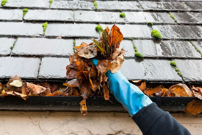 Gutter Cleaning