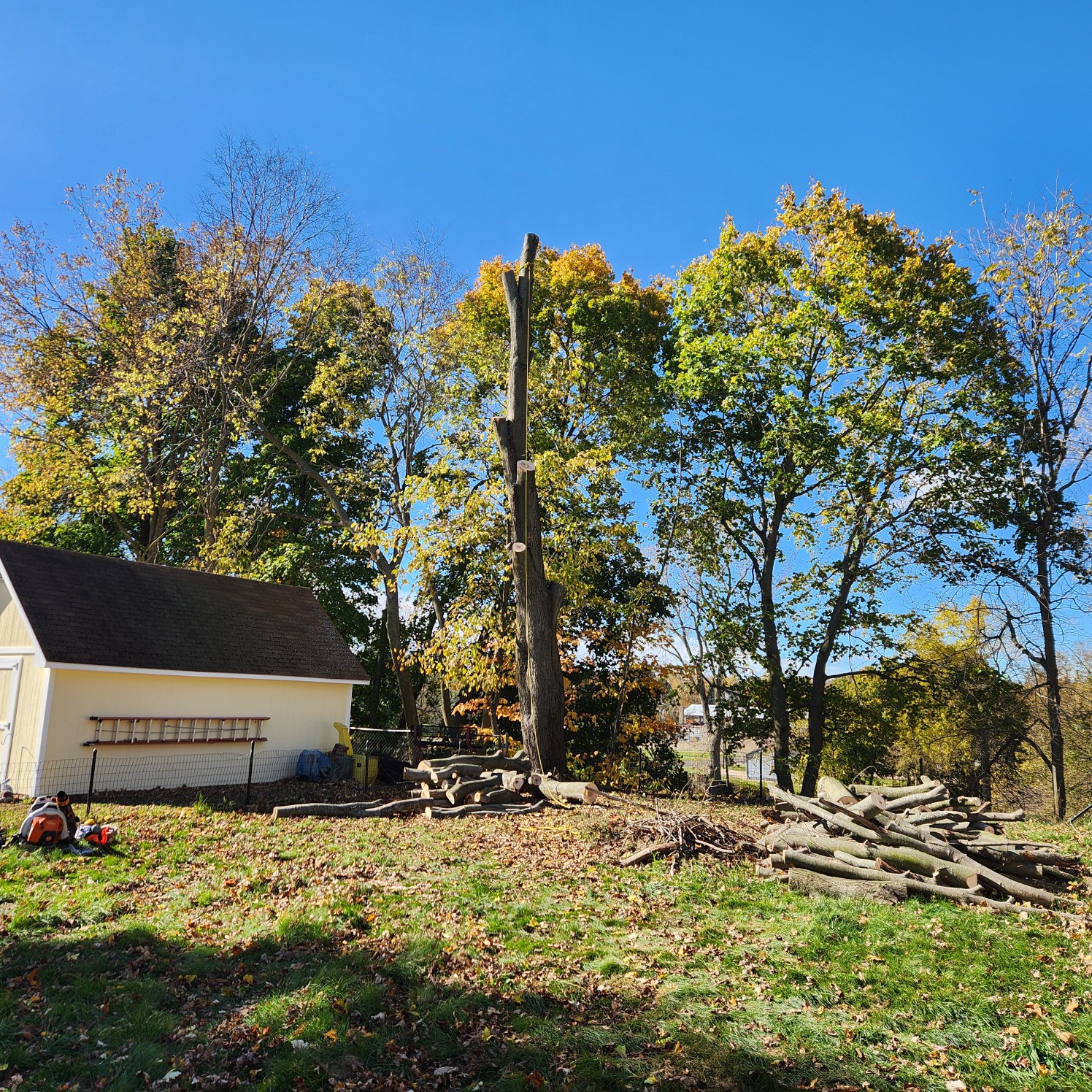 Milks Tree Service Inc Image