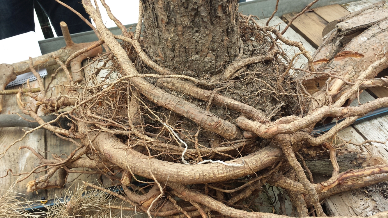 Images Sdl Investigacion Y Divulgacion Del Medio Ambiente S.L.