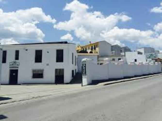 Images Gomeoliva