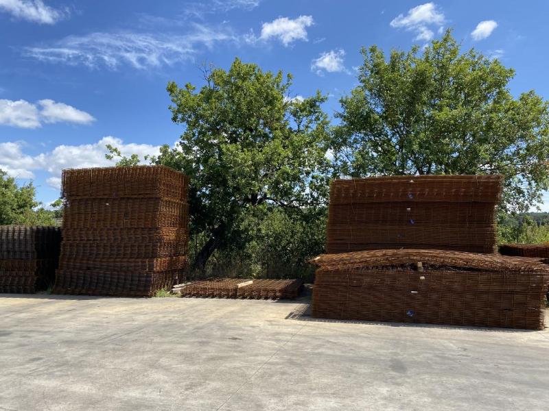 Images F.lli Bachiorrini