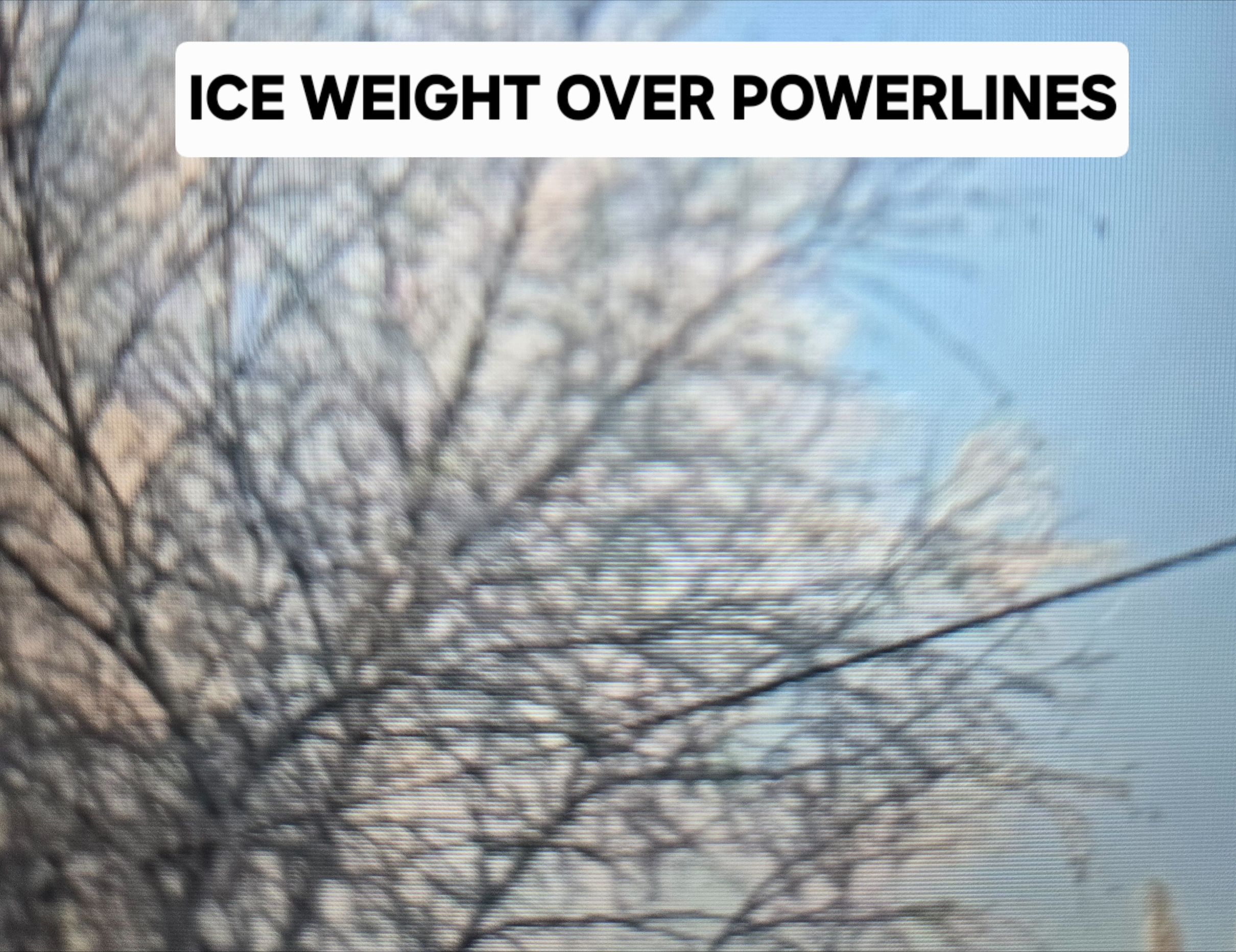 RLB Tree Service Image