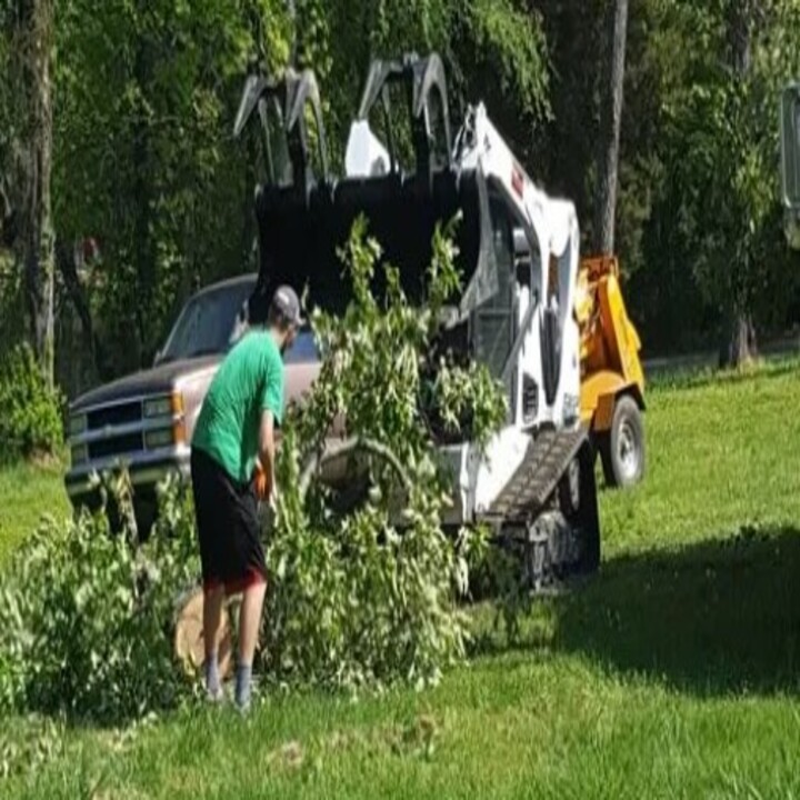 Images Childress Complete Tree Service