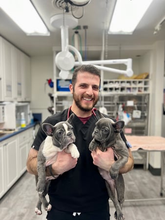 Images VCA McClave Animal Hospital