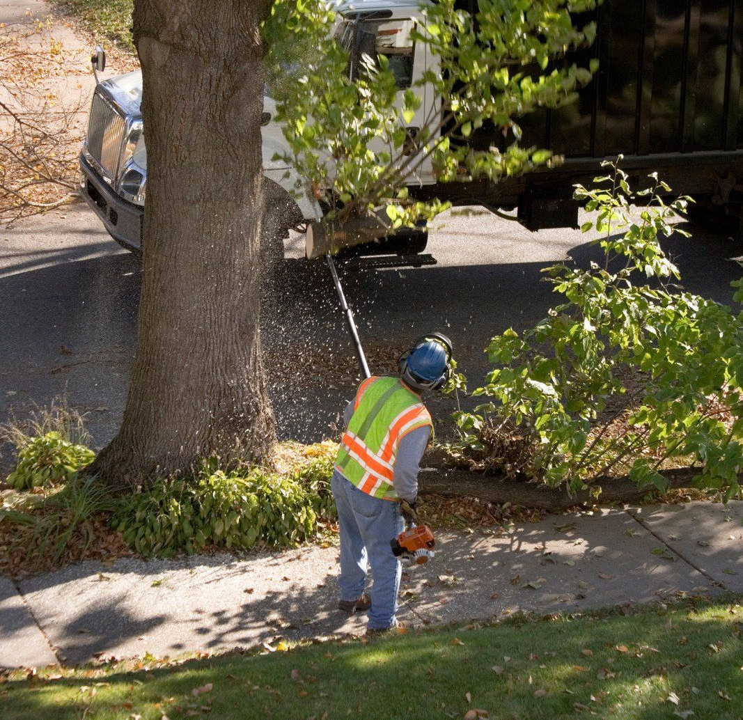 A tree service worker wearing a safety vest and helmet trims a fallen tree branch with a chainsaw beside a sidewalk, while a work truck is parked nearby.
