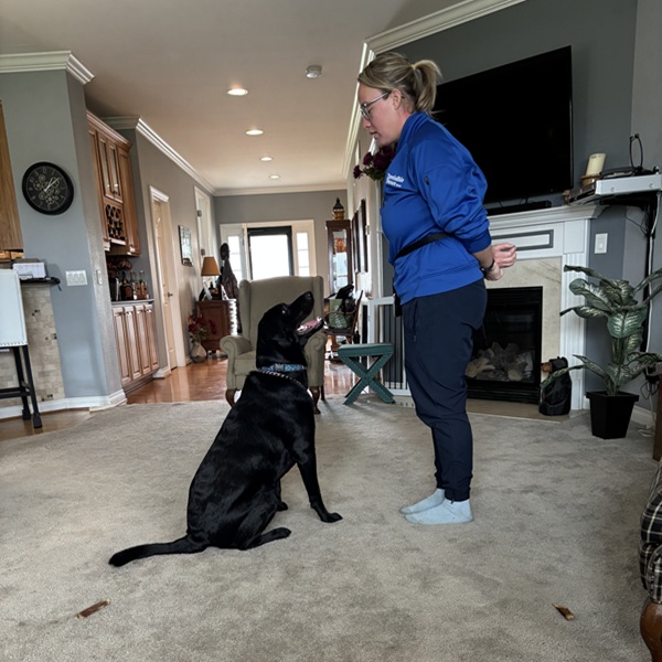 Dog trained for Invisible Fence® in Defiance County, Ohio