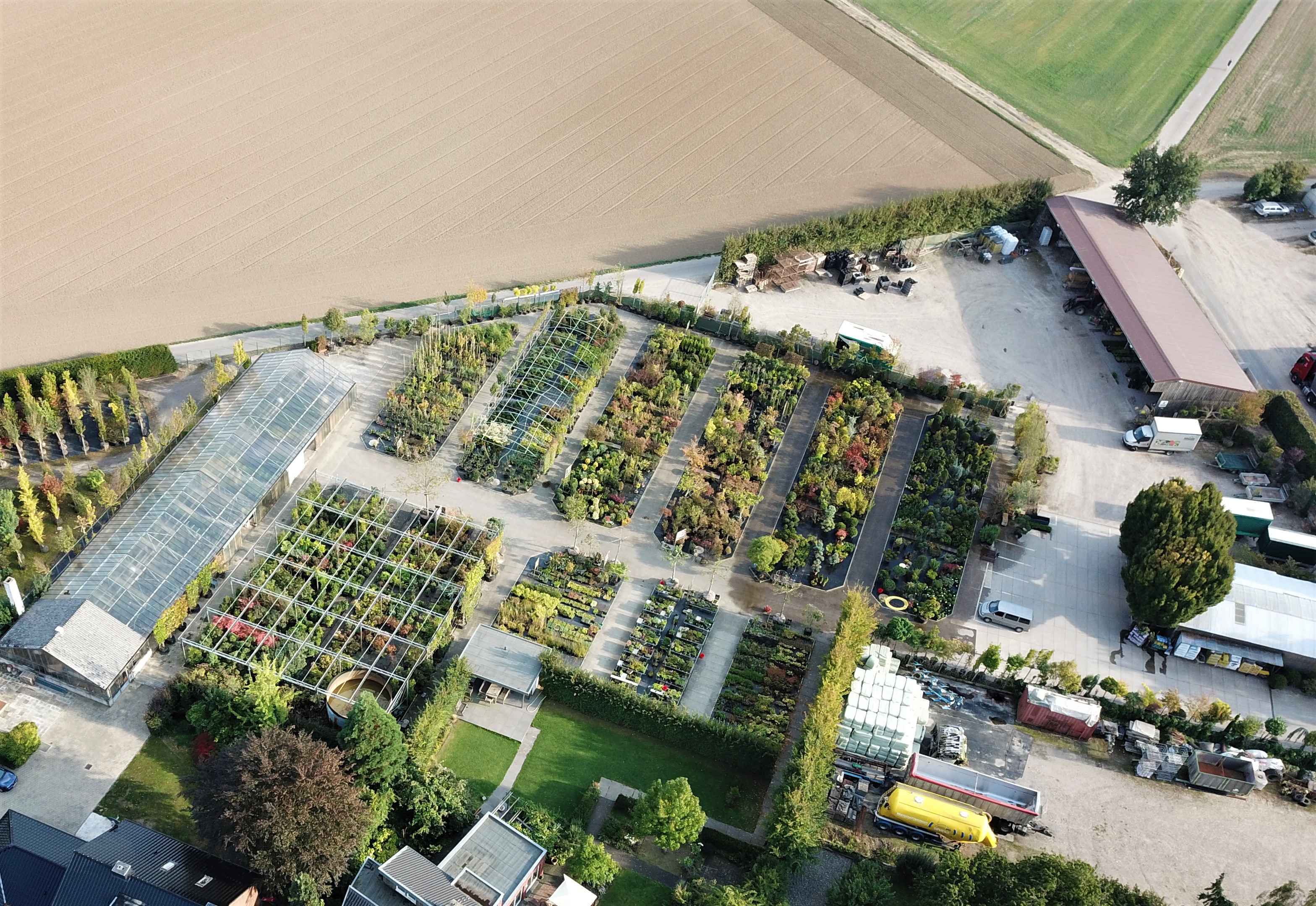 Hallen  Baumschulen GmbH, Terreicken 94 in Erkelenz