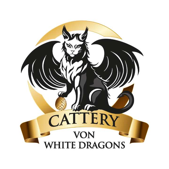 Von White Dragons in Sassenburg - Logo