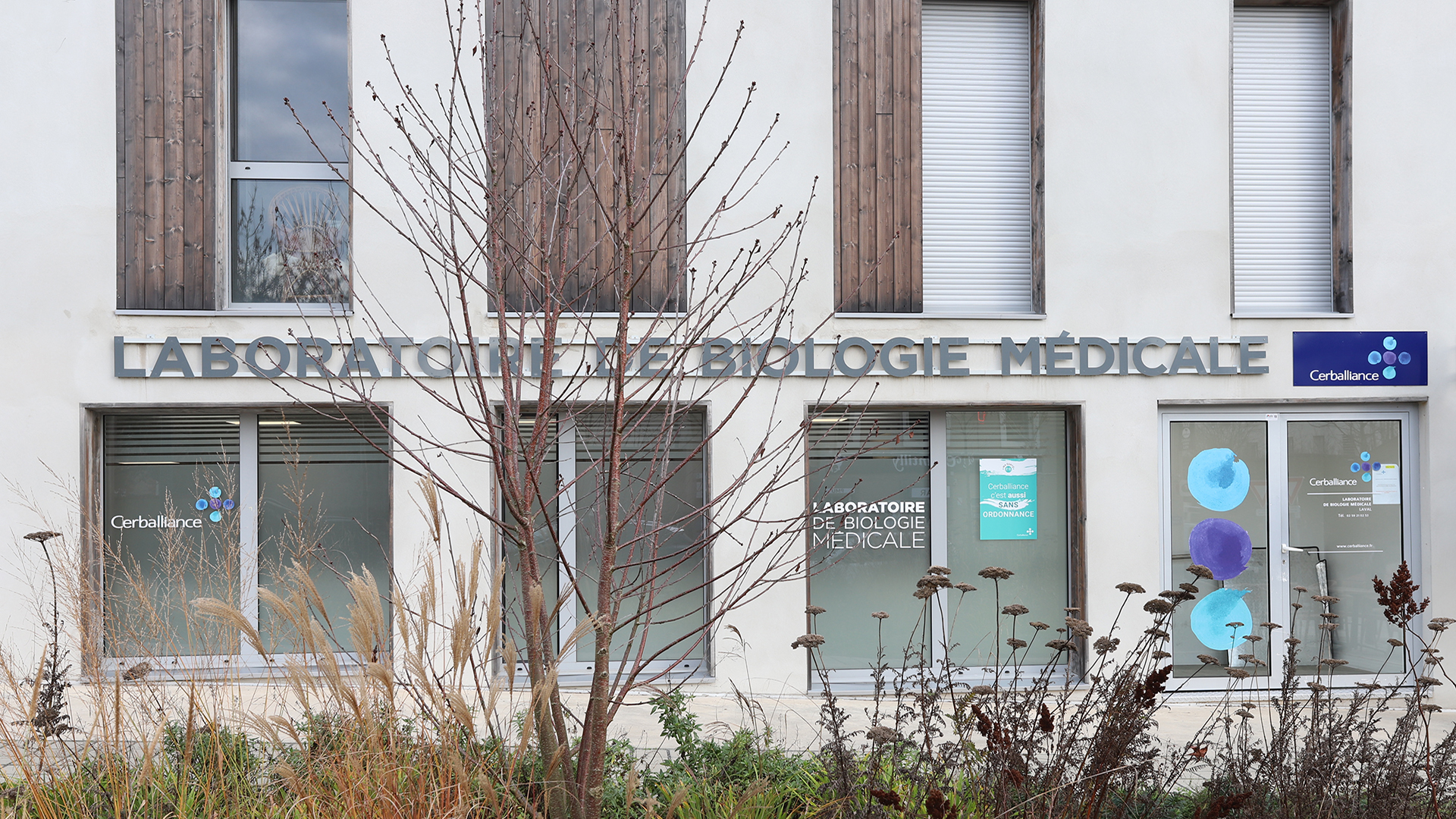 Miniature de la galerie