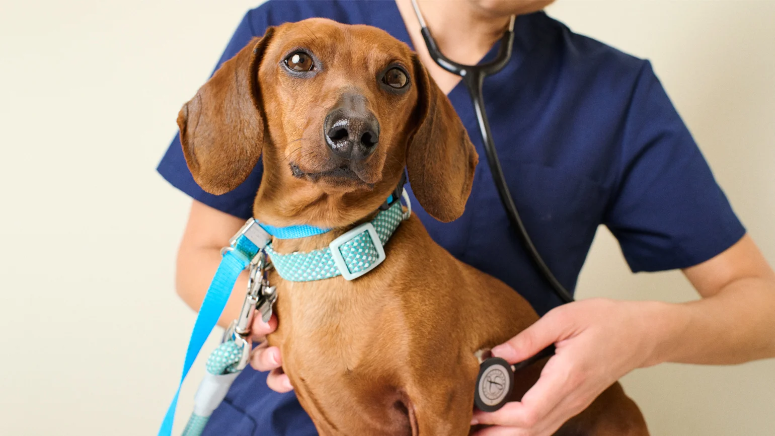 Vetco Vaccination Clinic