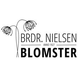 Interflora Brdr. Nielsen Logo