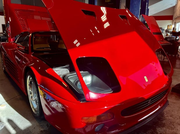 Images Loudoun County Exotics