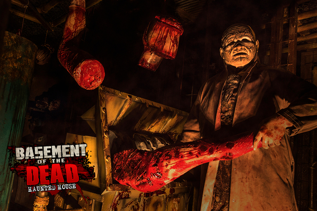 Images Basement of the Dead Haunted House Chicago