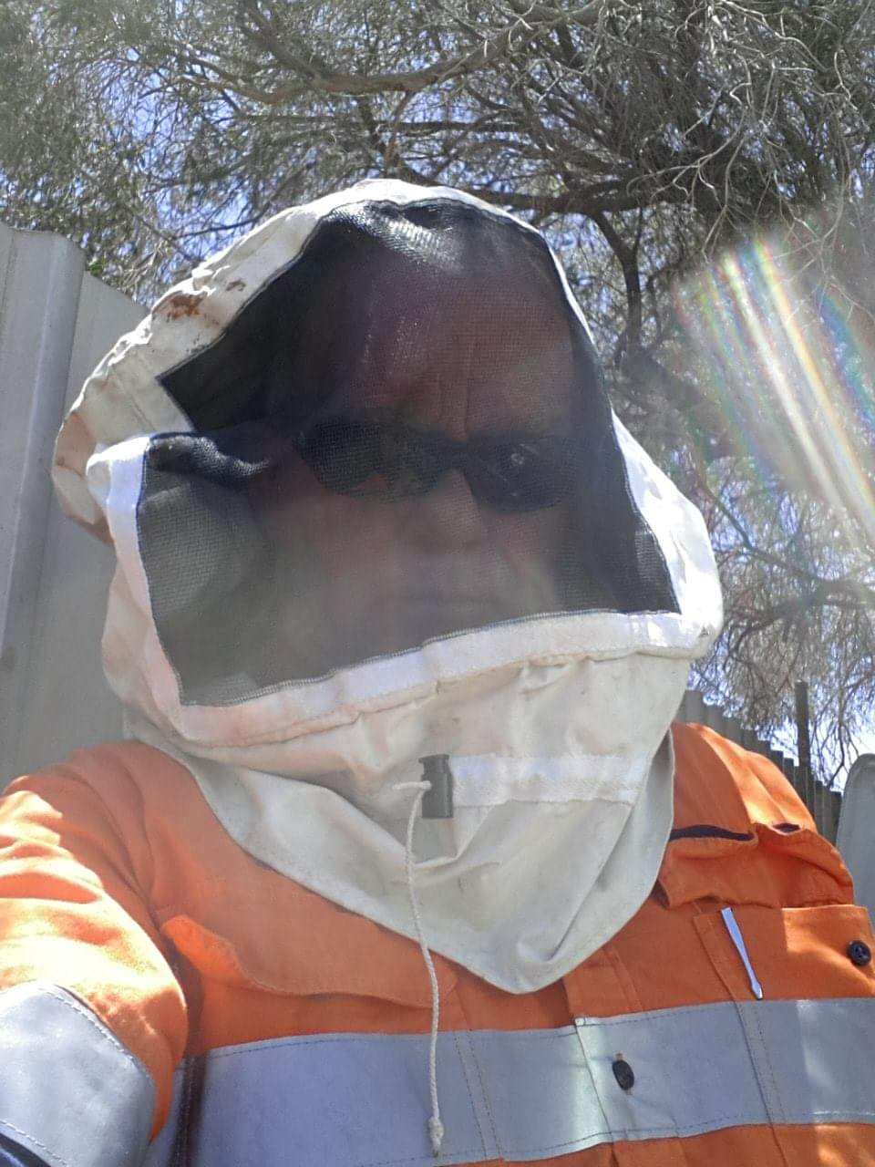 Images Newman Pest Control