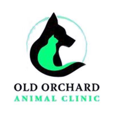 Veterinarian | Old Orchard Animal Clinic | Lewisville, TX