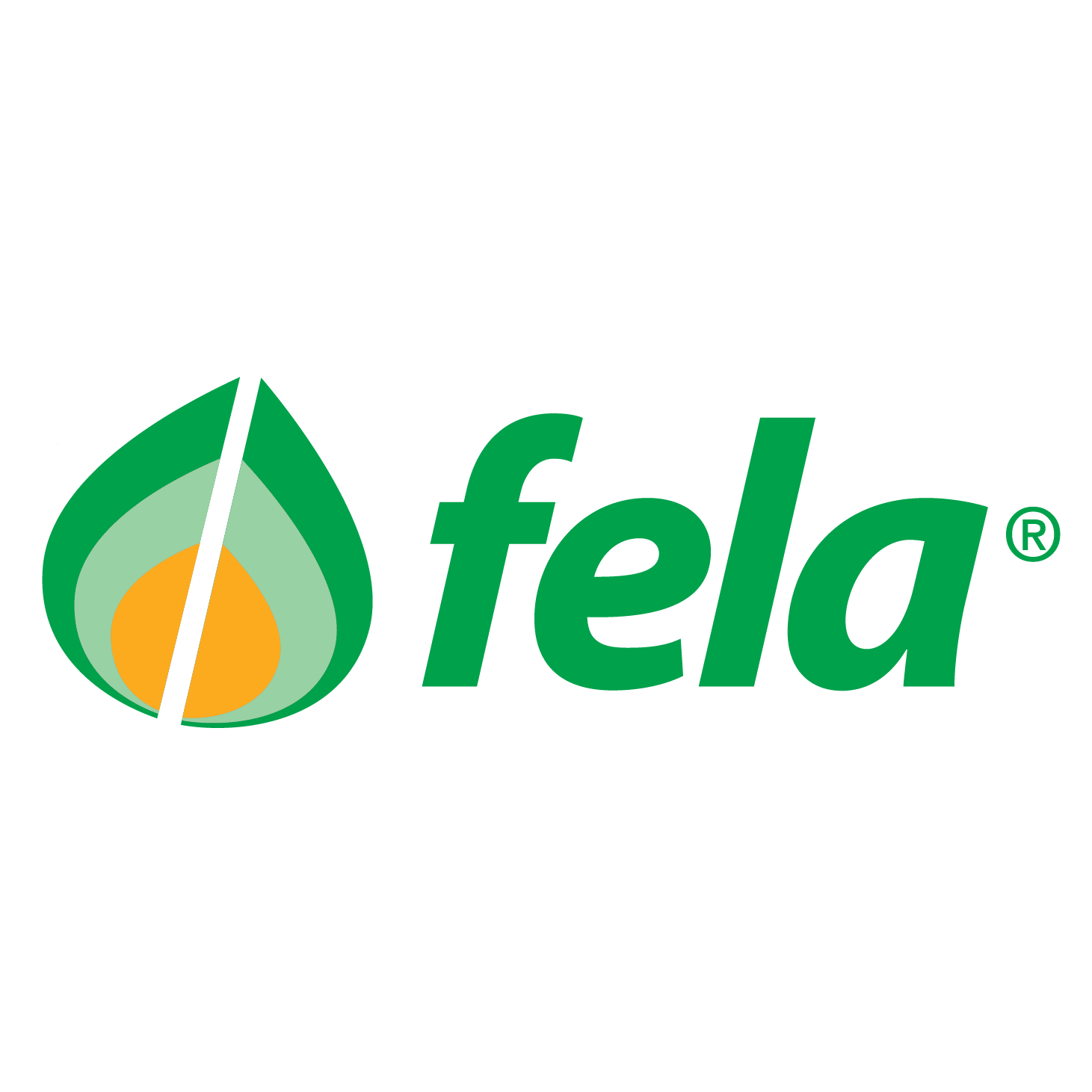 FELA Ticino SA Logo
