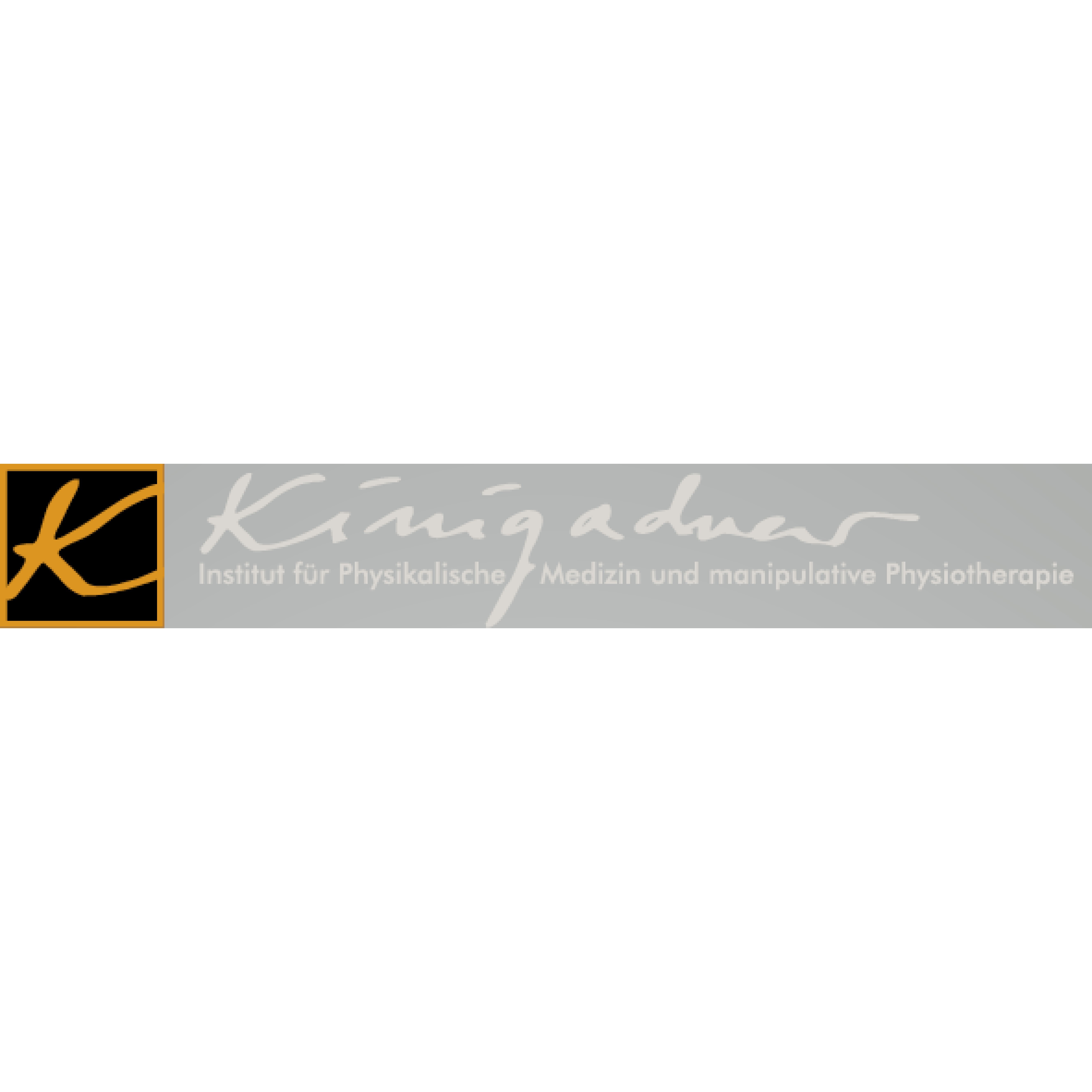 Institut Dr. Kinigadner Logo