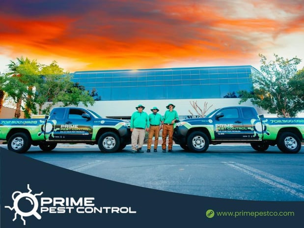 Images Prime Pest Control Las Vegas