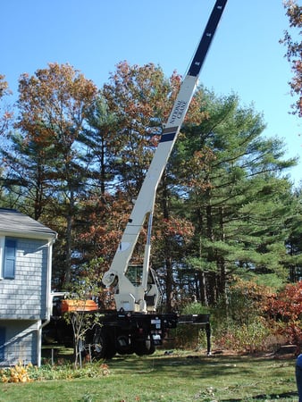 Images South Shore Tree Removal Inc.